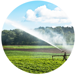 Purificador de Agua Buena - Gutes Wasser